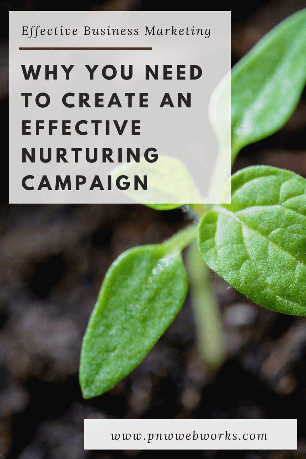Why You Need to Create an Effective Nurturing Campaign