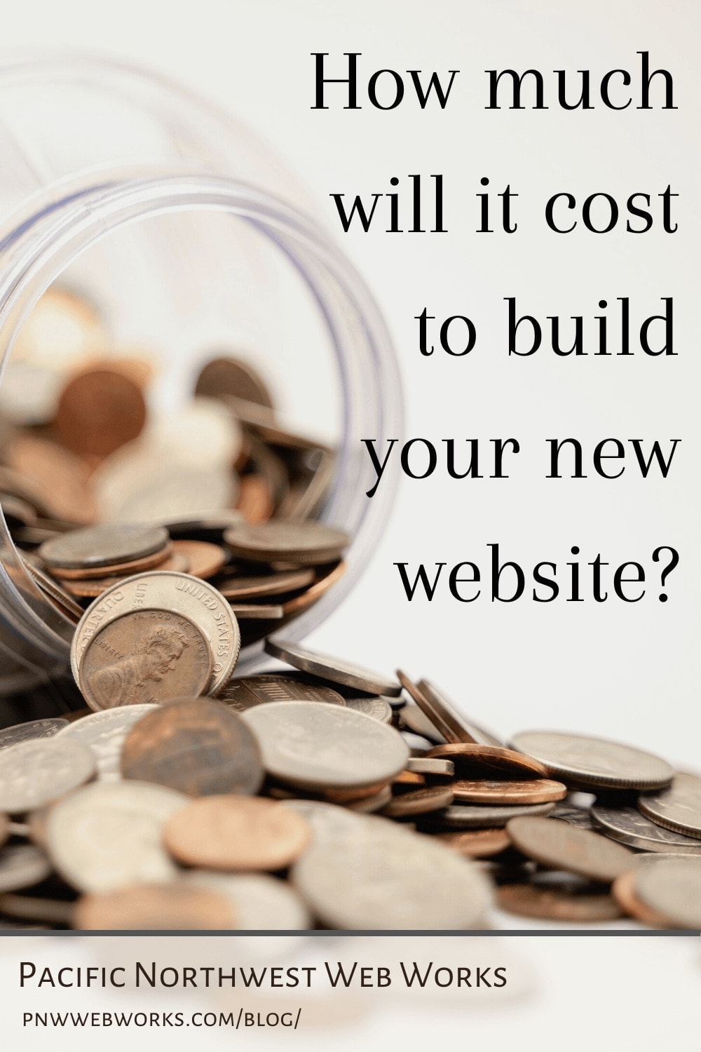 How much will your new website cost